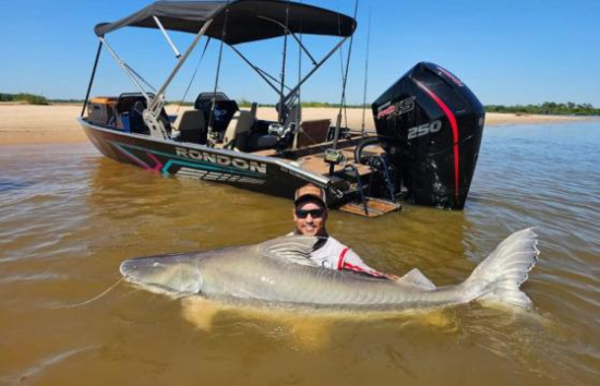 Grupo pesca piraíba de mais de dois metros no Rio Araguaia