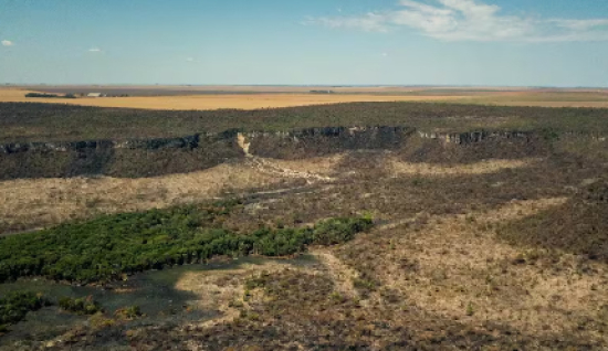 Cerrado perdeu área de vegetação nativa maior que o estado de Goiás em 39 anos