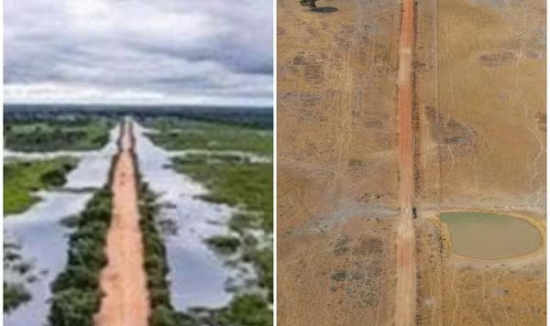 Pantanal enfrenta futuro incerto em meio a impactos de incêndios e seca severa