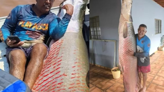 Guia de pesca captura pirarucu gigante de 161 kg