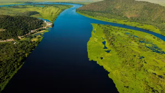 AGU declara inconstitucional lei que libera pecuária em APPs do Pantanal mato-grossense